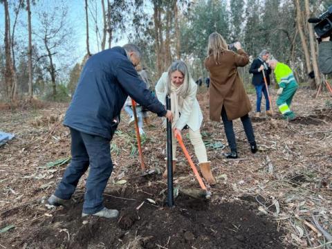 A Concelleira Mila Castro nun momento da plantación